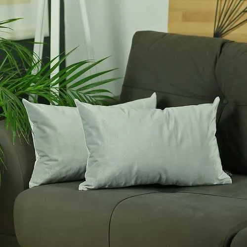 21" x14" Light Grey Velvet Decorative Throw Pillow Cover (2 Pcs in set)