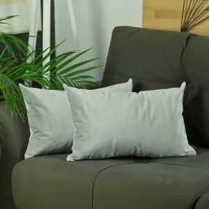 21" x14" Light Grey Velvet Decorative Throw Pillow Cover (2 Pcs in set)