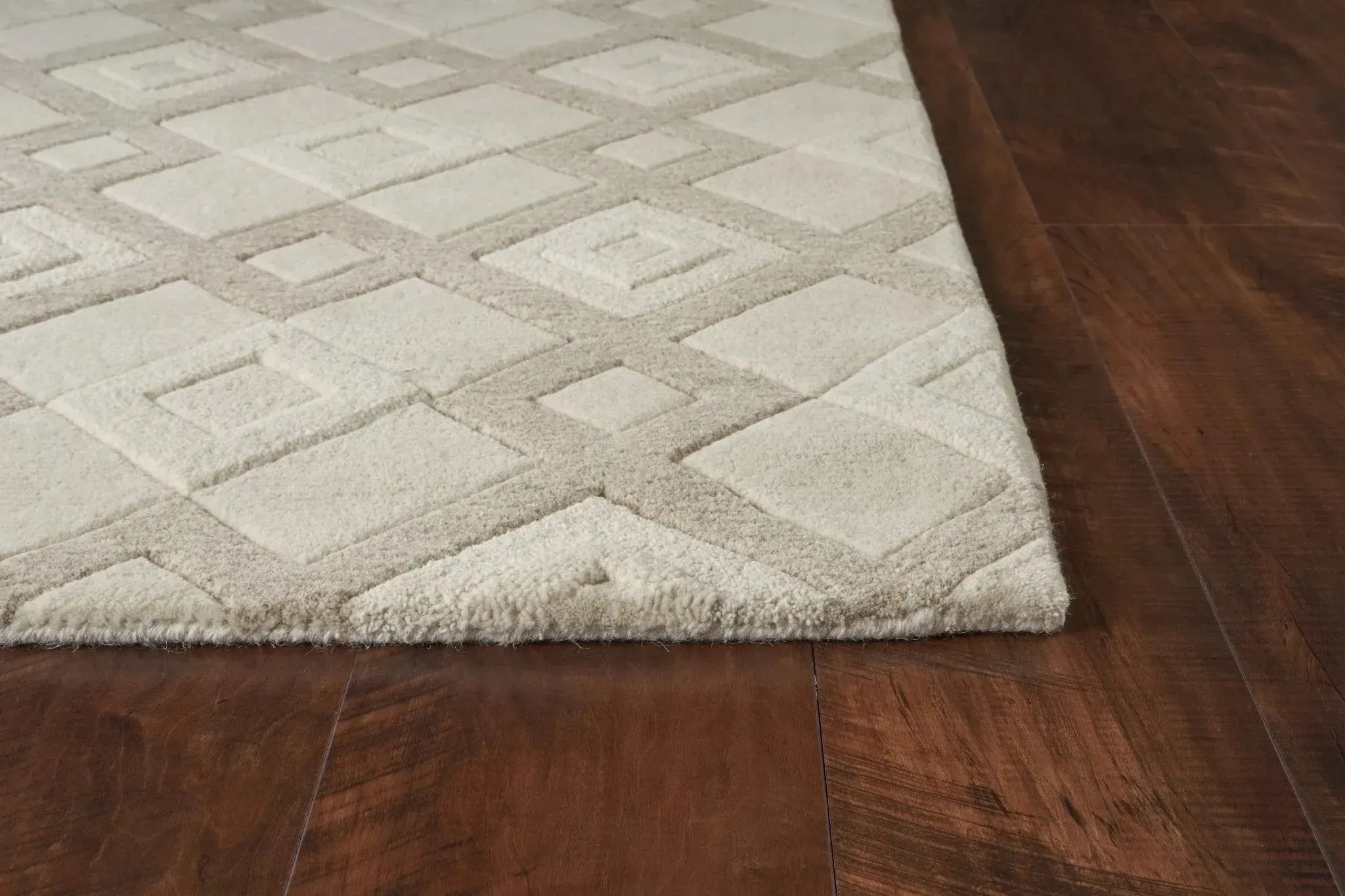 Eternity 1055 Ivory Vista Rug
