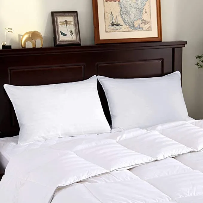 LUCKY STAR Standard Bed Pillow (Set Of 2, Size: 45x70 cm, White)