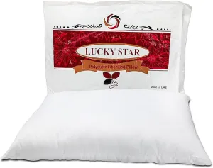LUCKY STAR Standard Bed Pillow (Set Of 2, Size: 45x70 cm, White)