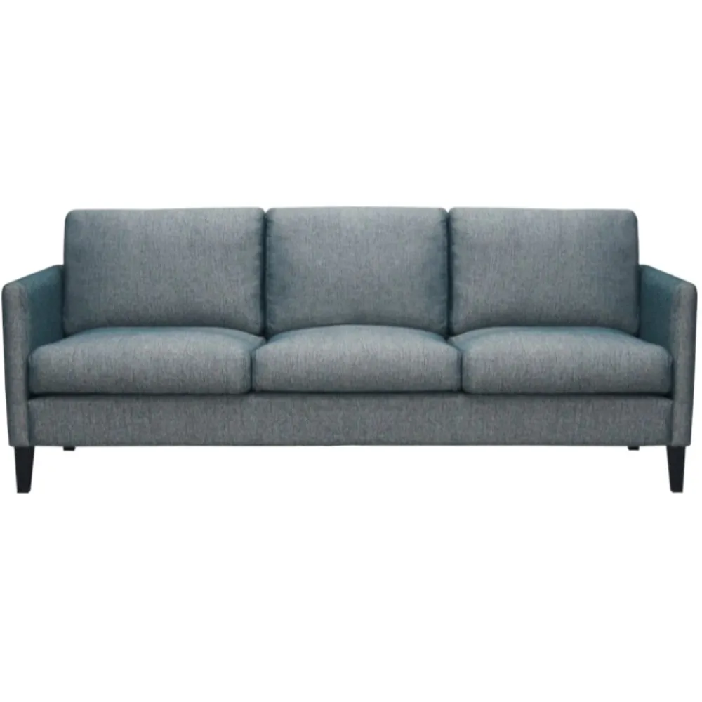 Moran Furniture Omaha Sofa