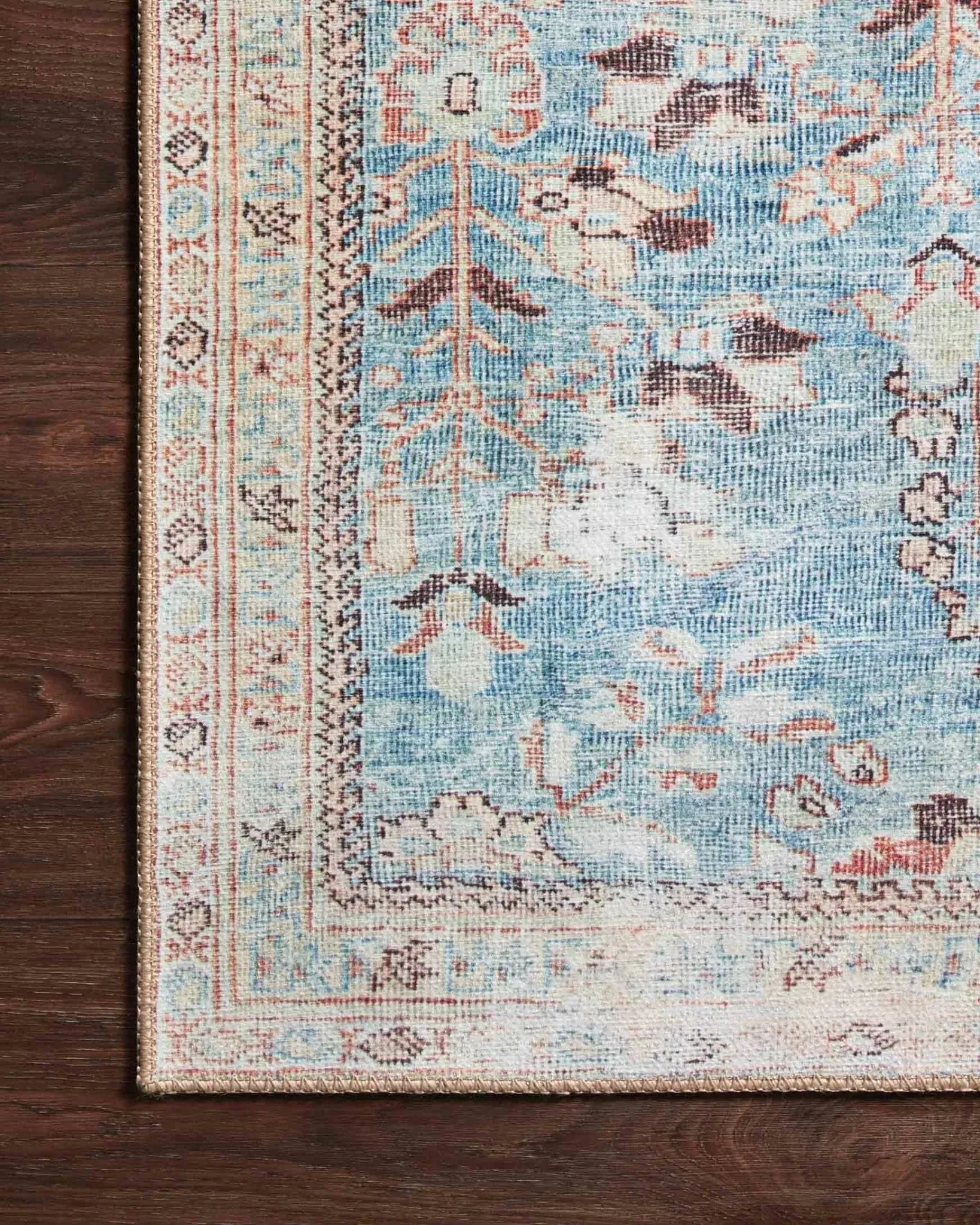 Wynter Wyn-06 Teal/Multi Rug